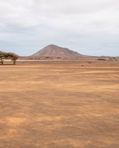 De woestijn in Sal, Kaapverdië