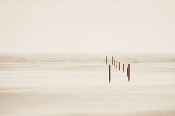 A minimalist sea view in sepia