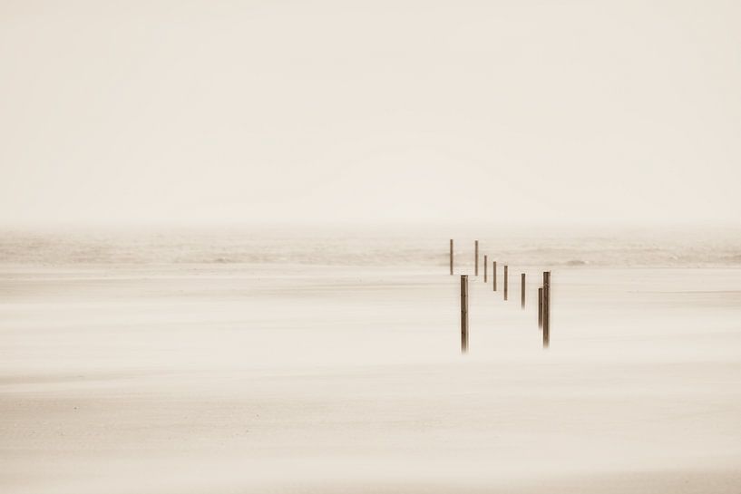 A minimalist sea view in sepia by Rik Verslype