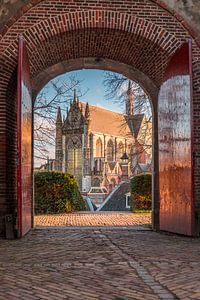 Leiden - Doorkijkje vanaf de Burcht naar de Hooglandse kerk (0127) van Reezyard