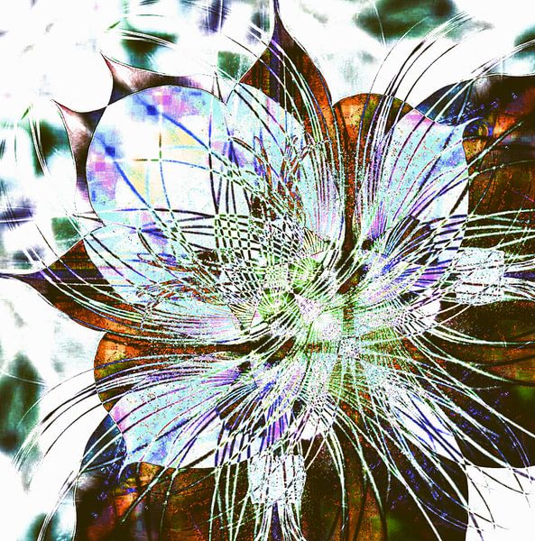 f.natura.2025jpg by rita sacco