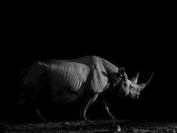 Arbeit an der Wand schwarz-weiß (Rhinoceros) von Omega Fotografie