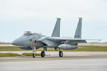 Japanische McDonnell Douglas F-15J Eagle. von Jaap van den Berg