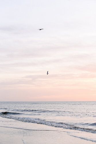 Pastellrosa Sonnenuntergang am Strand III | Meer | Küste | Niederlande