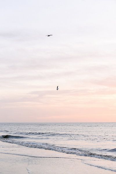 Pastel pink sunset on the beach III | sea | coast | Netherlands by Mirjam Broekhof