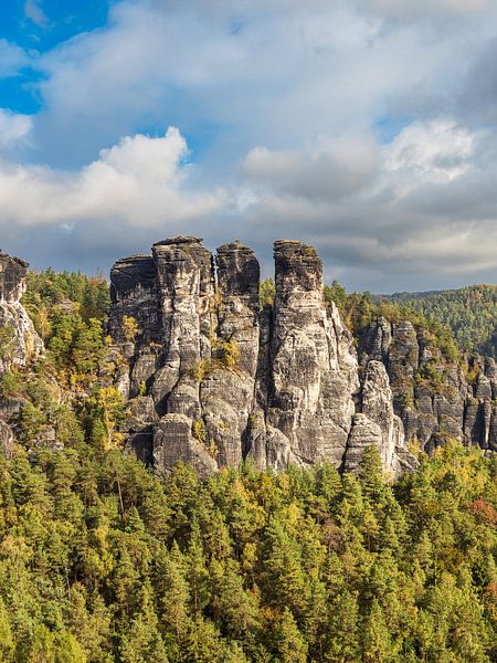 Blick auf Felsen und Bäume in der Sächsische Schweiz von Rico Ködder