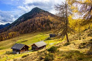 Herbstzeit auf der Lackenalm von Christa Kramer