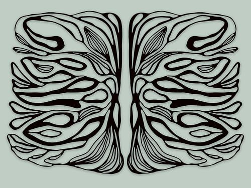 Life symmetries, zwart