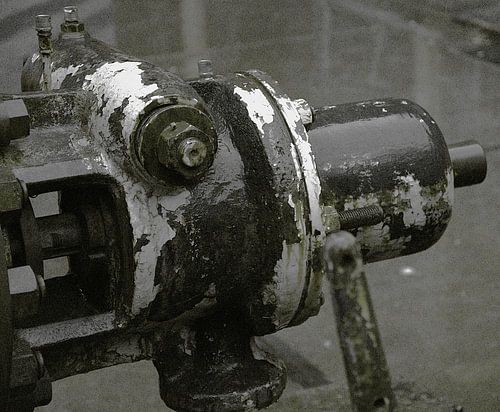 vieil hippopotame en or