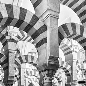 The famous arches of the Mezquita Cathedral in Cordoba in black-and-white by Ron Poot