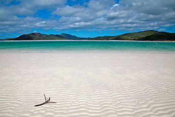 Stilleven van de Australische zee by Jeannine Paulich