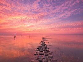De la couleur dans les Wadden ! sur Marco Lok