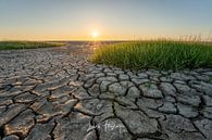 De Friese waddenkust van lars Bosch thumbnail