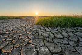 Die friesische Wattenküste