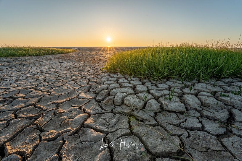De Friese waddenkust van lars Bosch