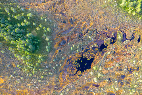 Groene boomeilanden in het veen van bovenaf