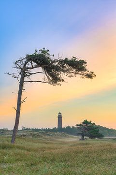 Windvlucht bij de vuurtoren Darßer Ort