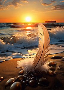 Feder am Strand