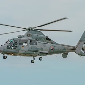 Hubschrauber Eurocopter AS 365 N3 Dauphin der französischen Marine. von Jaap van den Berg