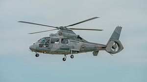 Hubschrauber Eurocopter AS 365 N3 Dauphin der französischen Marine.