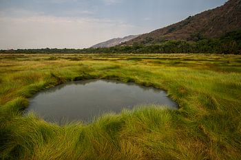 Hotspring in het groene gras