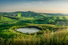 Kleiner Teich in der Landschaft der Crete Senesi in der Nähe von Monte Sante Marie