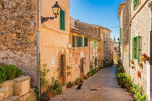 Rue romantique dans le vieux village de Valldemossa sur l'île de Majorque, en Espagne.