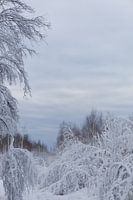 Dänische Schneelandschaft