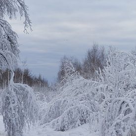 Deense besneeuwde landschap van Tanja Huizinga Photography