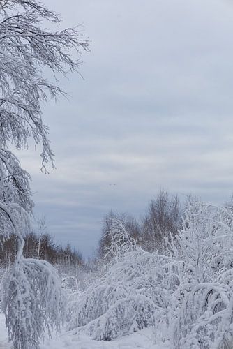 Danish snowy landscape by Photo's by Tanja