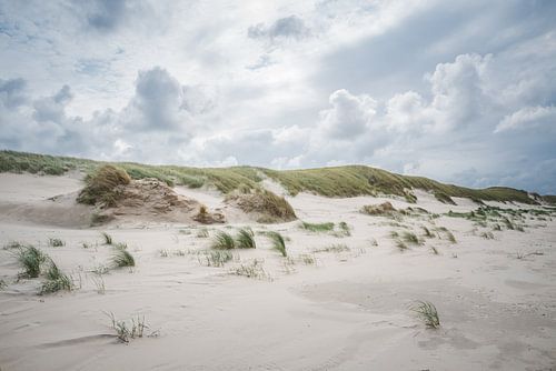 Dunkle Wolken über den Dünen am Nordseestrand bei Slufter auf Texel