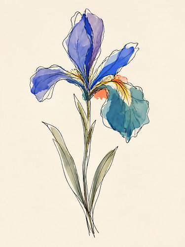 Blue Iris Whisper