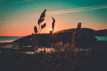 zonsopkomst boven de poolcirkel