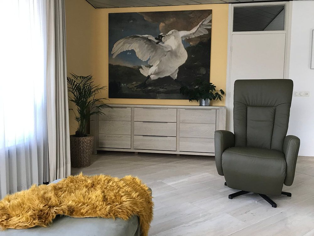 De bedreigde zwaan, Jan Asselijn 