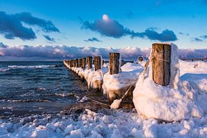 Buhne an der Ostseeküste bei Zingst
