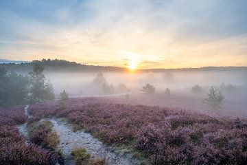 Nebliger Sonnenaufgang im Moor von John van de Gazelle