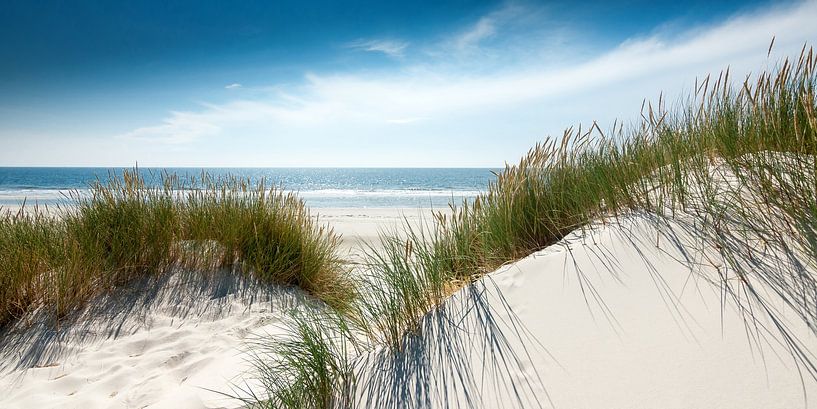 Heldere elegantie , glanzende duinen aan het Noordzeestrand van Reiner Würz / RWFotoArt