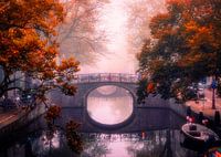 Fairytales