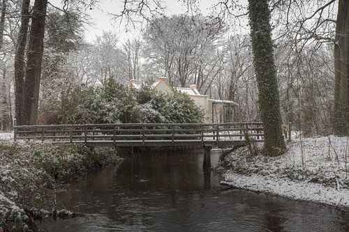 Koepeltje in de sneeuw
