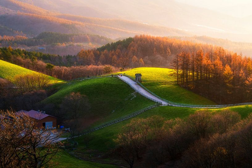 Après-midi au Ranch par Tiger Seo