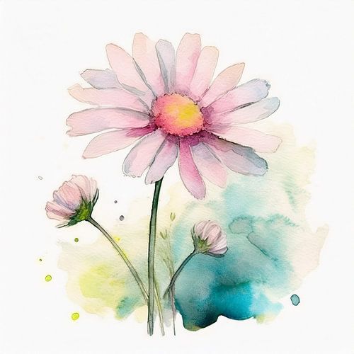 Gänseblümchen (Blume)