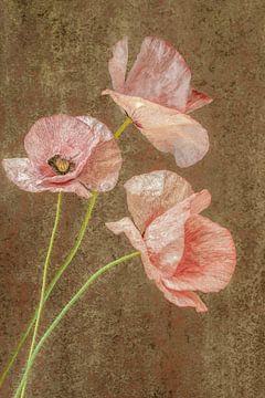 Retro Bloemen. De Klaproos. Pastel. van Alie Ekkelenkamp