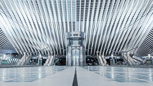 Gare de Liège-Guillemins - Architecture - Ascenseur