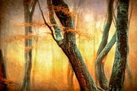 The Dancing Trees