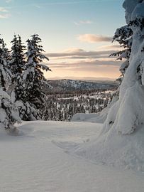 Doorkijk by David Hanlon