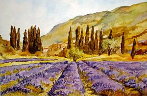 La Provence von Stephanie Köhl