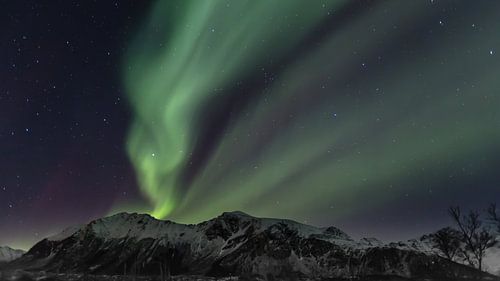 Aurora Borealis - Noorderlicht op de Lofoten