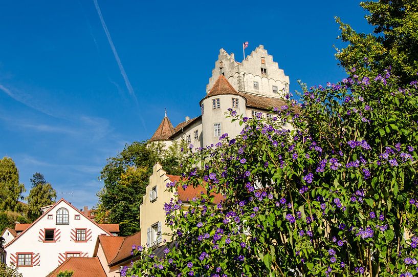 Kasteel met benedenstad in Meersburg aan de Bodensee Duitsland van Dieter Walther