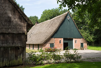 Oude boerderij met rieten dak in Drenthe