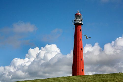 Lighthouse de Lange Jaap